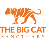 big cat sanctuary
