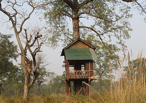 Deciduous Habitat